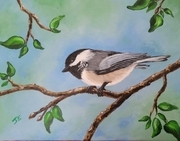 Chickadee 2023