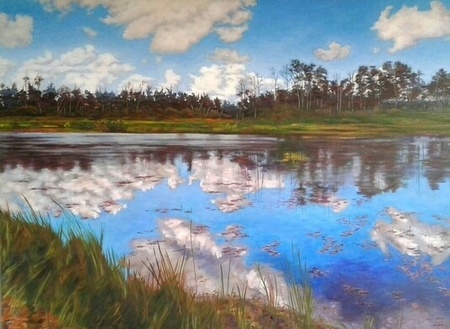 Interlake Marsh