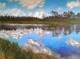 Interlake Marsh